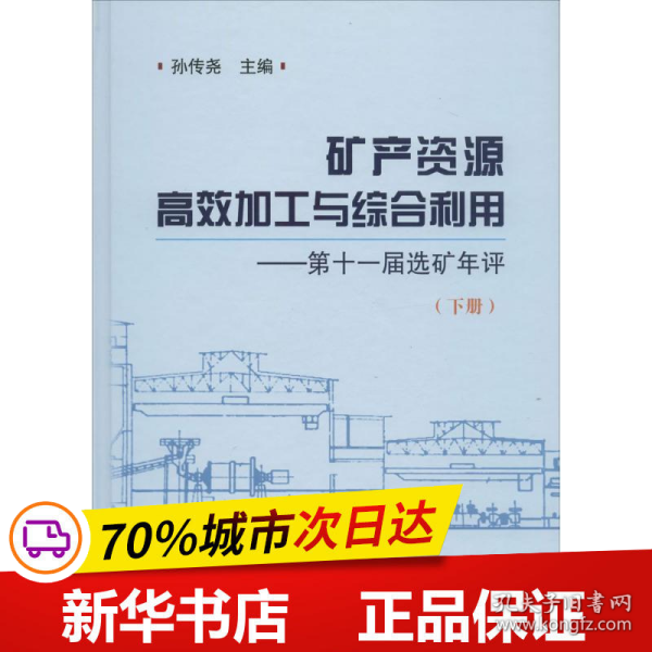 矿产资源高效加工与综合利用 第十一届选矿年评（下册）