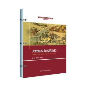 大数据税务风险防控（新编21世纪高等职业教育精品教材·智慧财经系列）