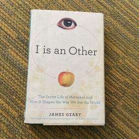 I Is an Other：The Secret Life of Metaphor and How It Shapes the Way We See the World