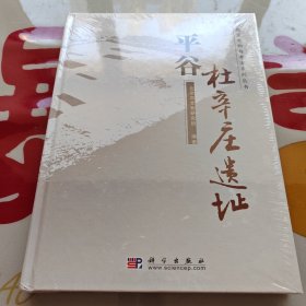 平谷杜辛庄遗址