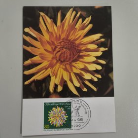 GERcard1德国邮票西柏林1985年 联邦德国园艺花卉展 徽志 仙人掌大丽花 1全 外国极限片 （两种邮戳，随机发）