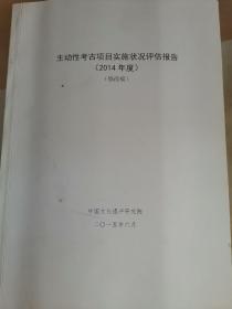 主动性考古项目实施状况评估报告2014年度  修改稿