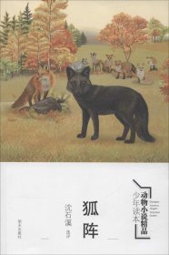 【正版新书】动物小说精品少年读本：狐阵