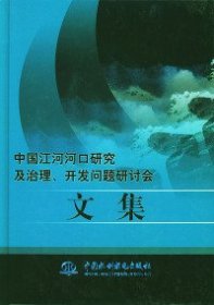 中国江河河口研究及治理、开发问题研讨会文集（精装）