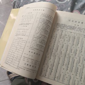 实用古汉语大词典