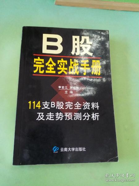 B股完全实战手册