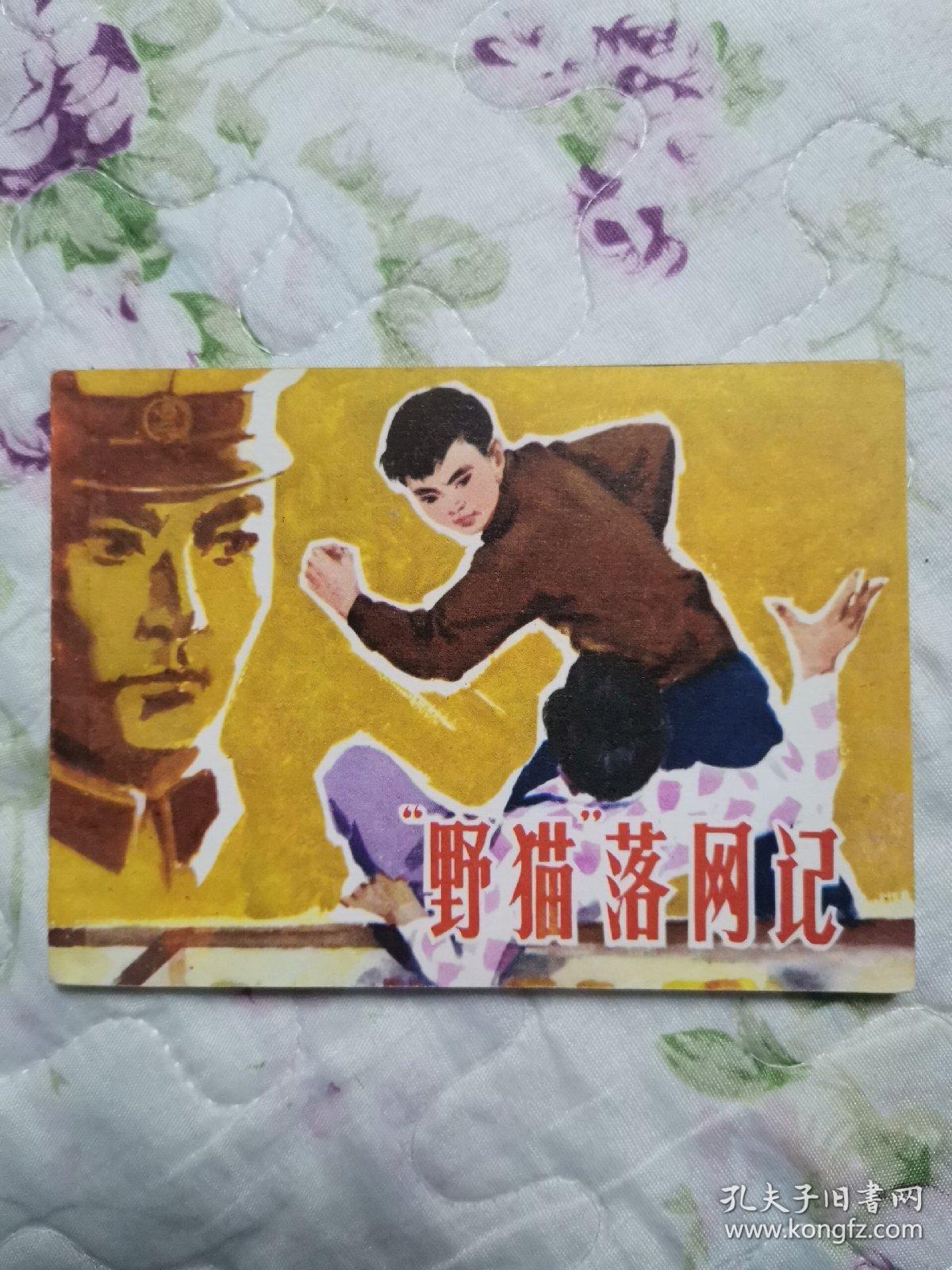 连环画—野猫落网记（首版 山东版 95品）