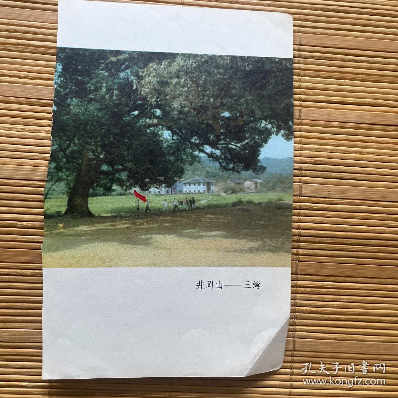 三湾
