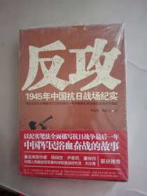 反攻：1945年中国抗日战场纪实