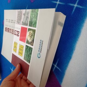 地道特色药材续断