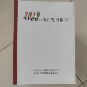 中国农业农村发展报告2019（中文版）