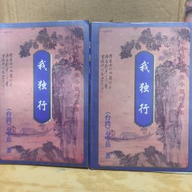 云中岳作品：我独行（上下）