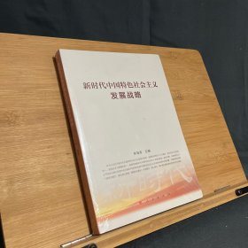 新时代中国特色社会主义发展战略