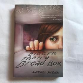 Bigger than a Bread Box  比面包盒还大  青少年读物  8-12岁    2011