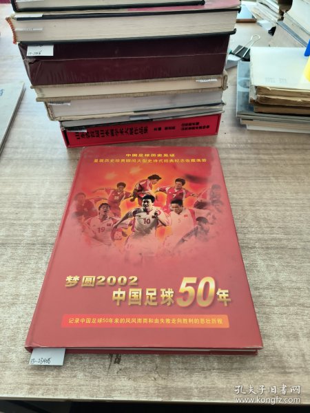 梦圆2002—中国足球50年