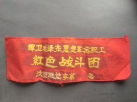 肩袖章3