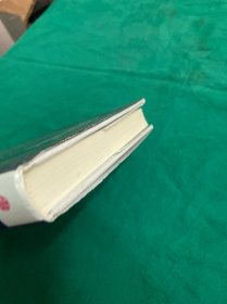 强权与铁腕 普京传