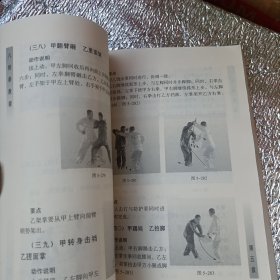 八极拳教程：霍氏八极拳传统训练方法揭秘