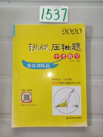 2020挑战压轴题·中考数学—强化训练篇