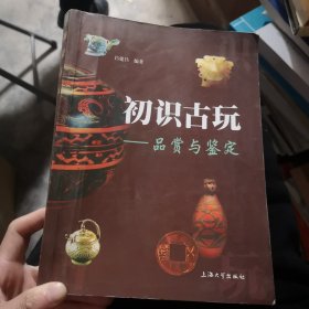 初识古玩：品赏与鉴定