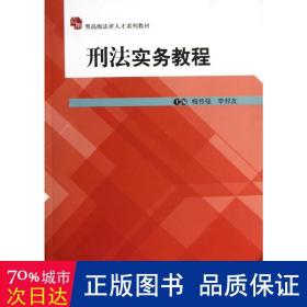 应用型高级法律人才系列教材：刑法实务教程