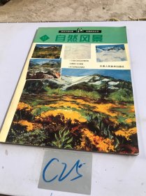 西班牙派拉蒙绘画技法丛书.17 自然风景