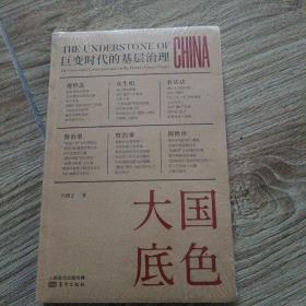 大国底色：巨变时代的基层治理