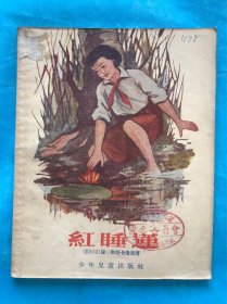红睡莲【28开插图本、55年一版一印】