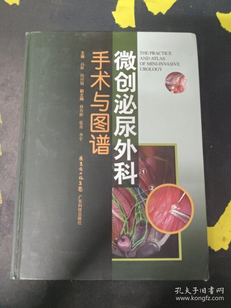 微创泌尿外科手术与图谱