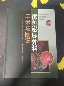 微创泌尿外科手术与图谱