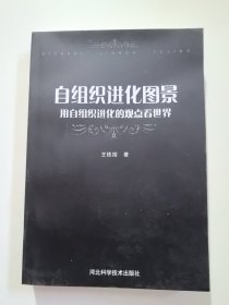 自组织进化图景:用自组织进化的观点看世界