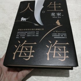 麦家：人生海海（茅盾文学奖得主麦家2019年强力之作）