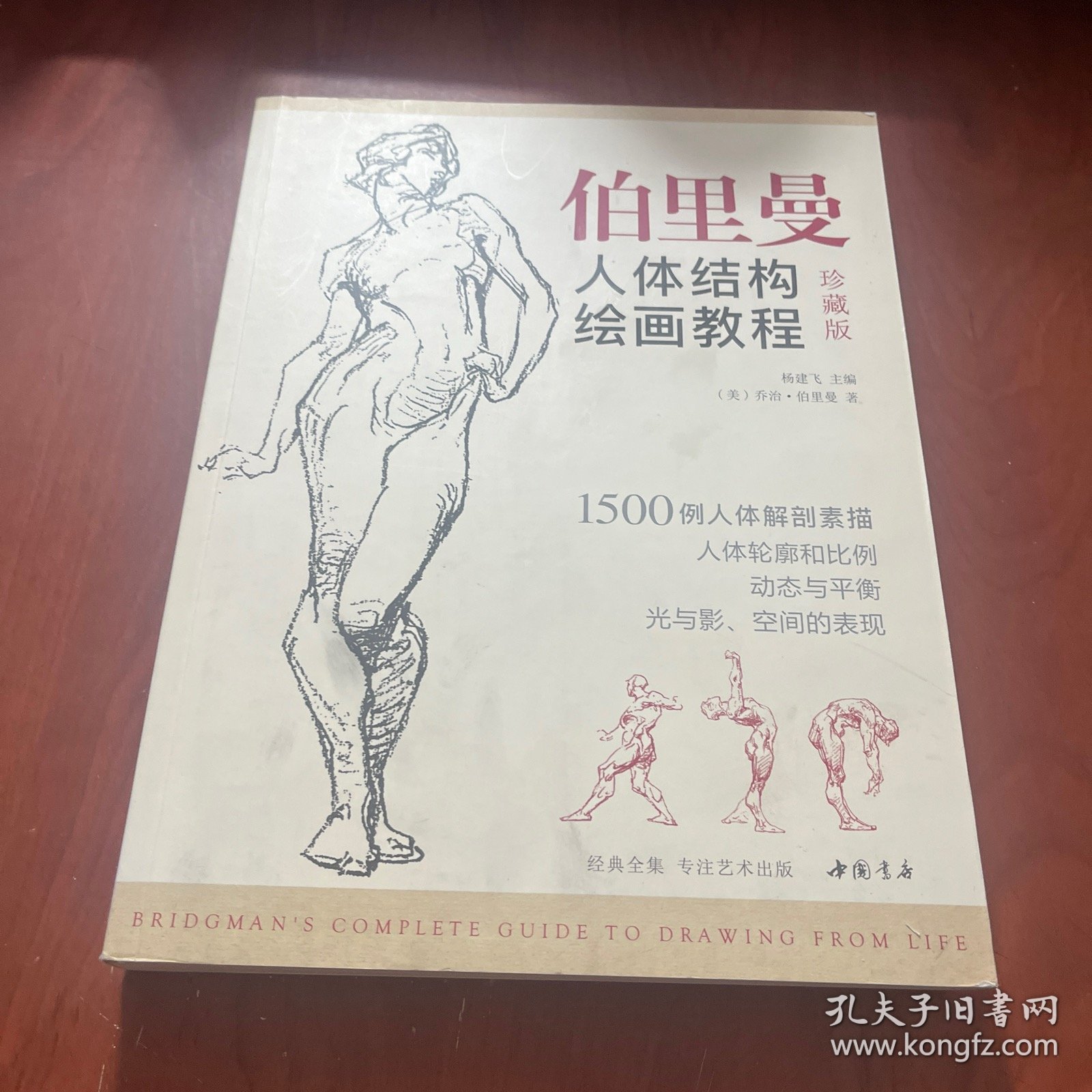 经典全集伯里曼人体结构绘画教程
