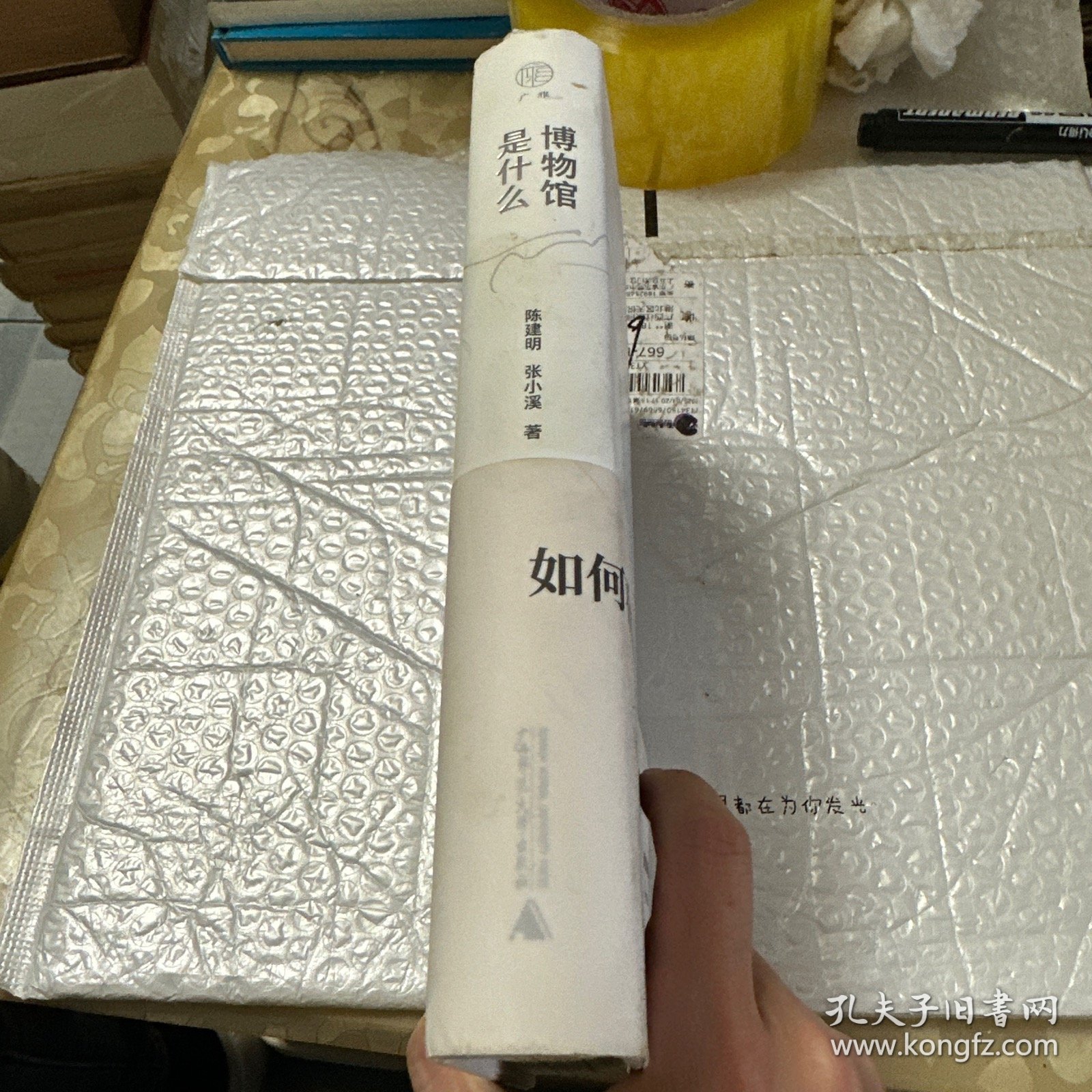 广雅·博物馆是什么（陈建明、矶崎新、胡倩、杨晓、黄建成等行业领军人物讲述博物馆学、建筑设计、空间展陈等共同参与的湘博一体化设计之路）