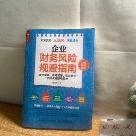 企业财务风险规避指南 会计实务 财务管理 税收筹划关键点及疑难解析