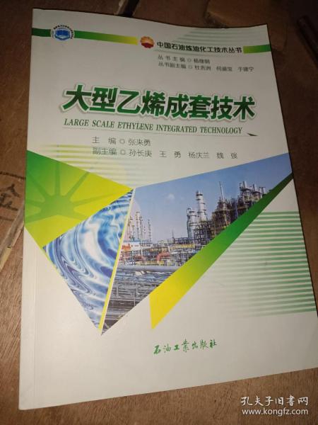 大型乙烯成套技术/中国石油炼油化工技术丛书