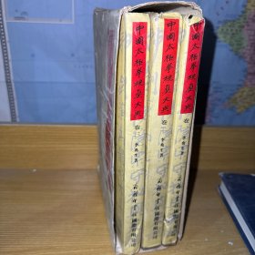 中国太极拳统真大典（3卷）