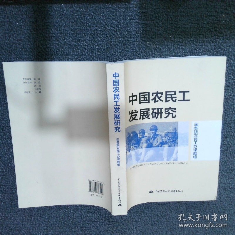 中国农民工发展研究