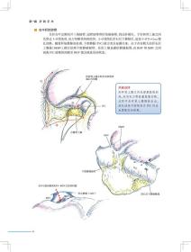 新华正版 肝胆胰外科手术实录（翻译版） 唐伟 著 9787117288170 人民卫生出版社