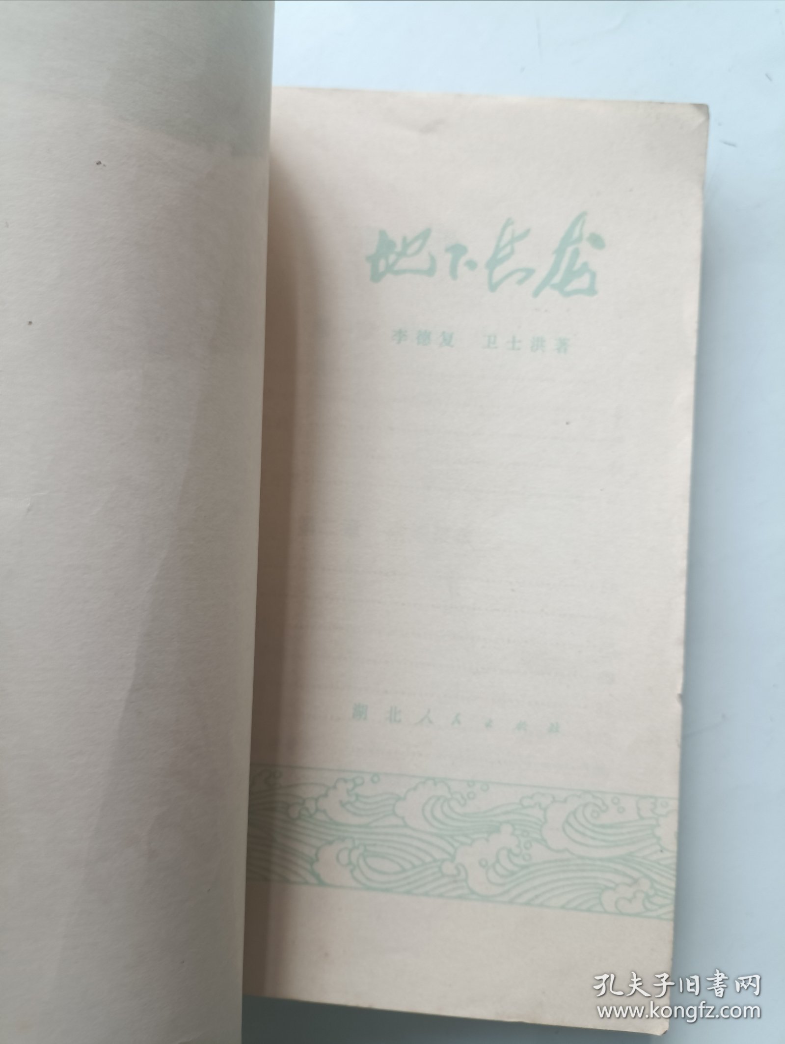 地下长龙