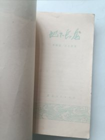 地下长龙