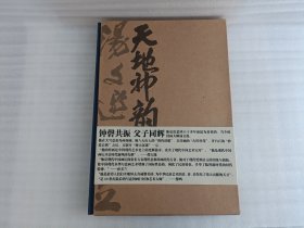 天地神韵：汤文选 汤立中国画集（全二册）有函套