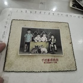 四兄弟合影彩照/猫咪、兔子模型，木马三轮车（底板9.5/11.7cm）