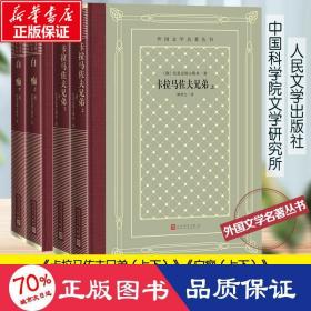 陀思妥耶夫斯基作品 人文网格本 外国现当代文学 (俄)陀思妥耶夫斯基