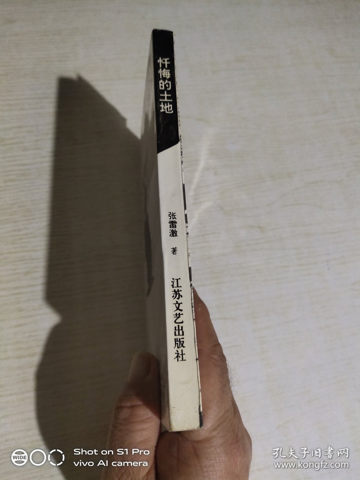 忏悔的土地