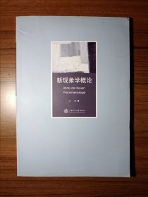 新现象学概论