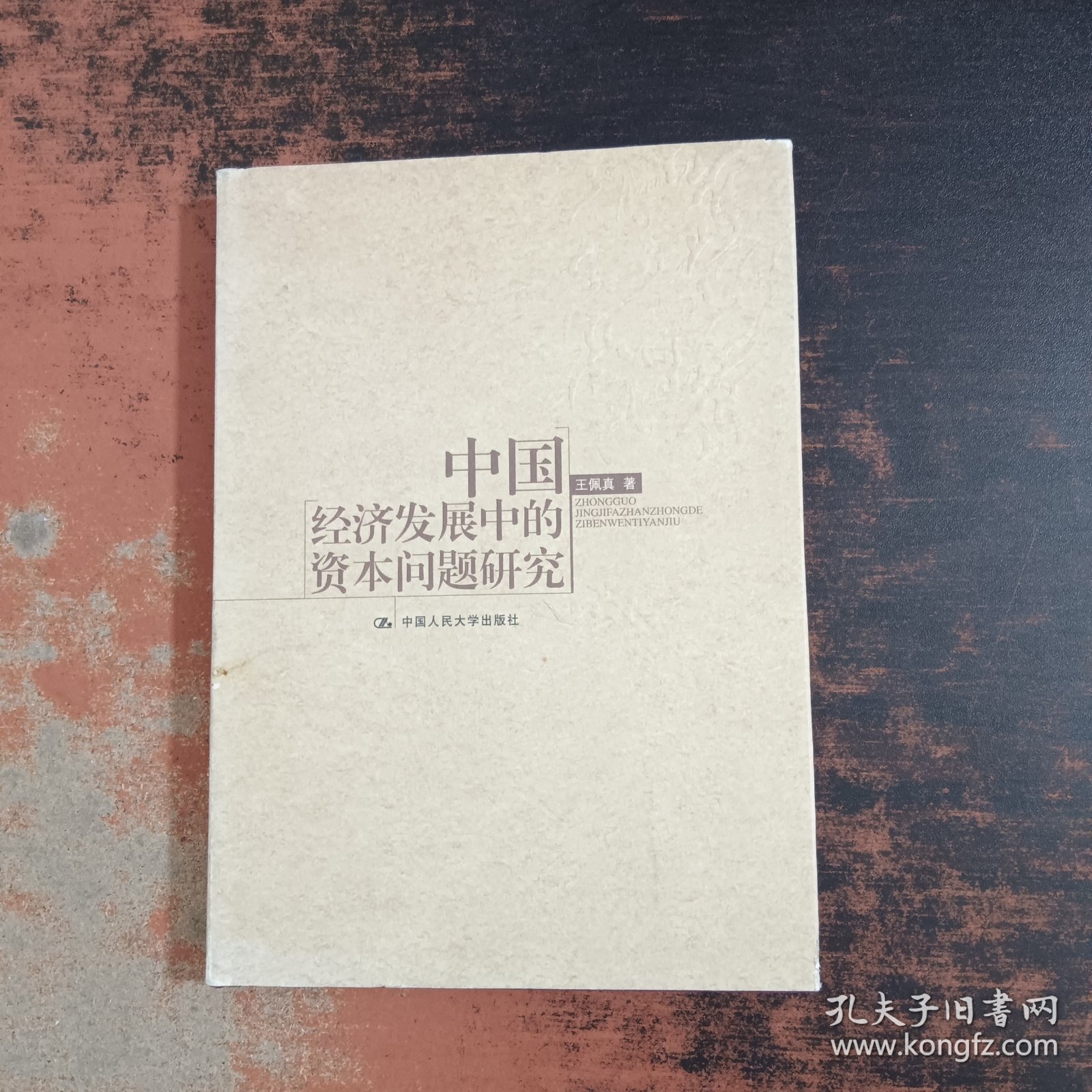 中国经济发展中的资本问题研究