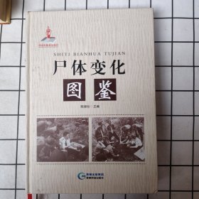 尸体变化图鉴