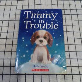 Timmy in Trouble Holly Webb