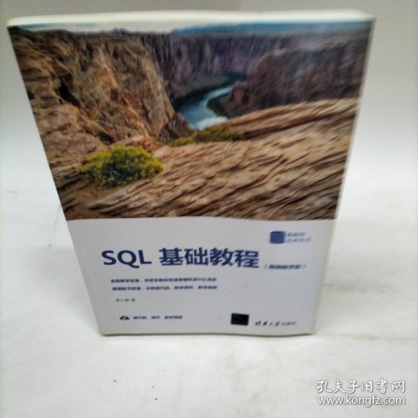 SQL基础教程（视频教学版）（数据库技术丛书）